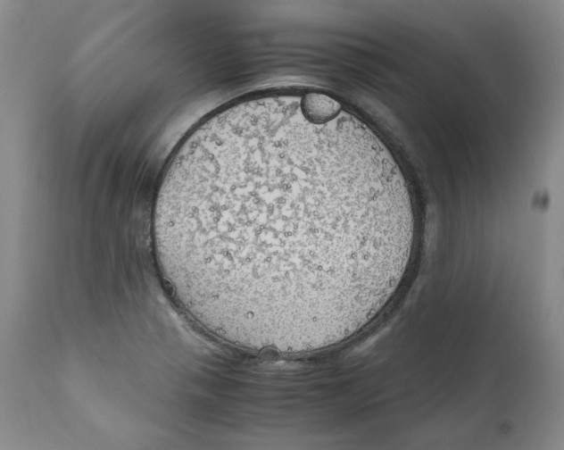 X0000111031321200907231611