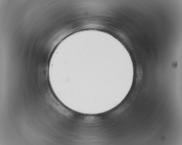 X0000111031322200907231611