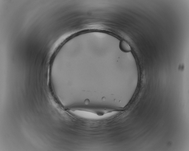 X0000111031323200907231611