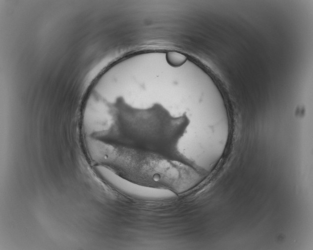 X0000111031325200907231611