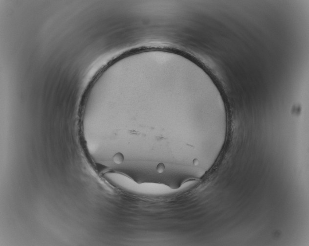 X0000111031327200907231611