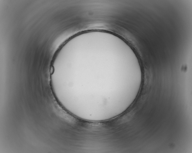 X0000111031328200907231611