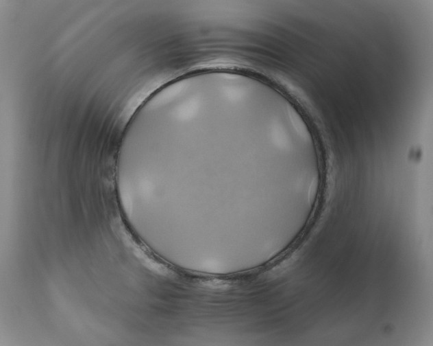 X0000111031329200907231611