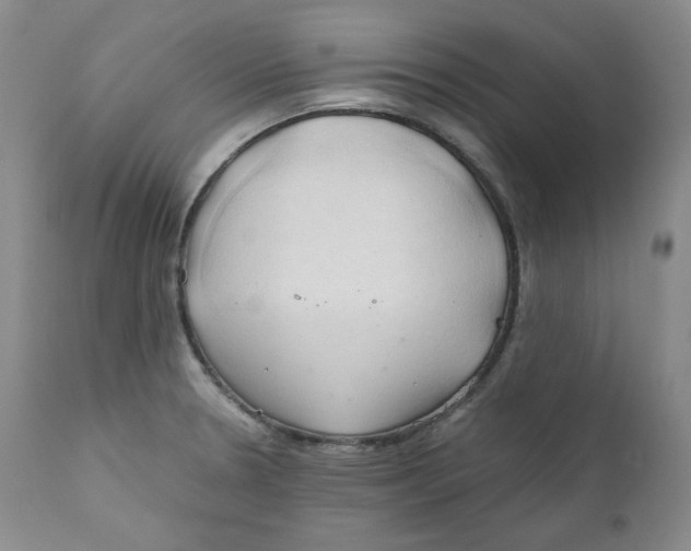 X0000111031330200907231611