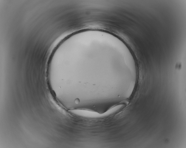 X0000111031331200907231611