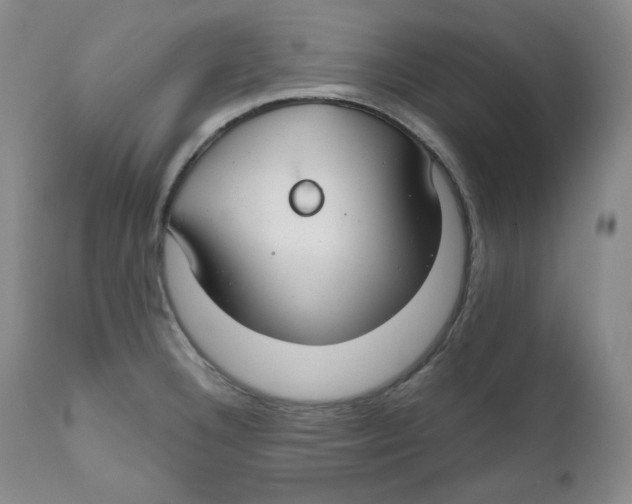 X0000111031332200907231611