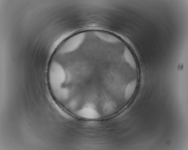 X0000111031333200907231611