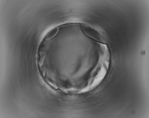 X0000111031334200907231611