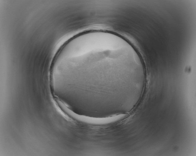 X0000111031335200907231611