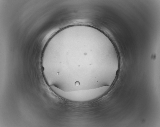 X0000111031336200907231611