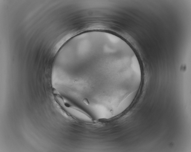 X0000111031337200907231611