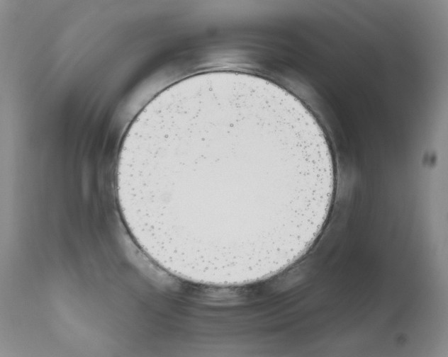 X0000111031338200907231611