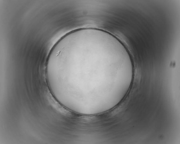 X0000111031340200907231611