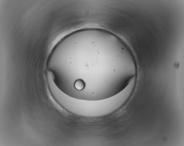 X0000111031342200907231611