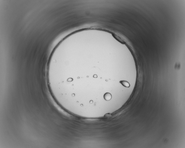 X0000111031343200907231611