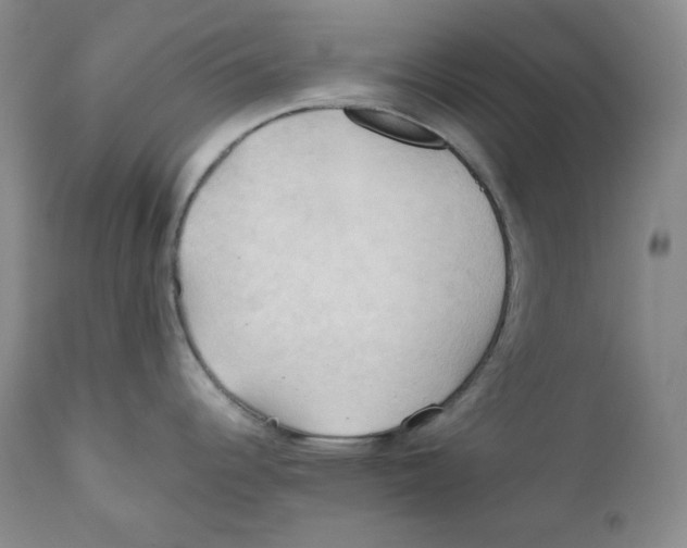 X0000111031344200907231611