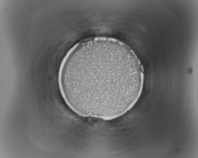 X0000111031345200907231611