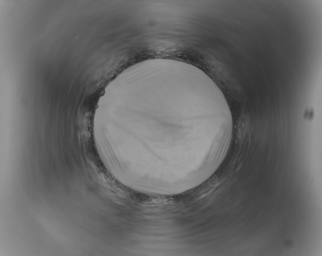 X0000111031346200907231611