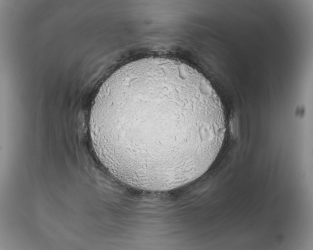 X0000111031347200907231611