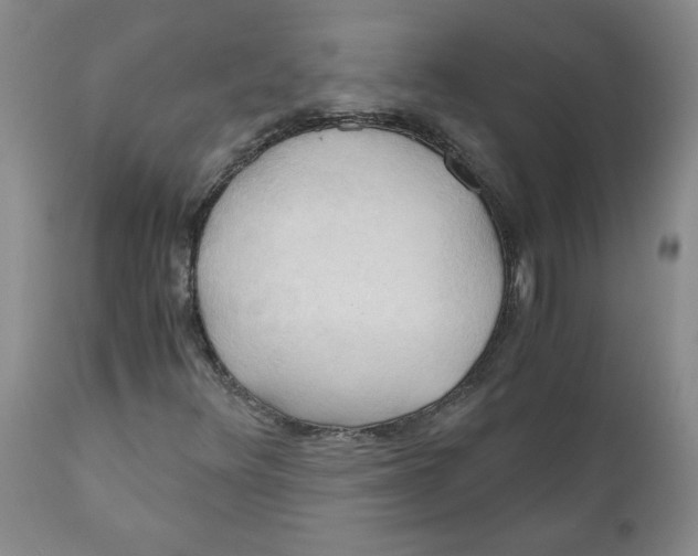 X0000111031348200907231611