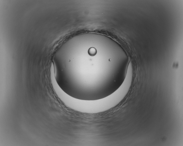 X0000111031349200907231611