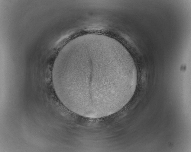 X0000111031350200907231611