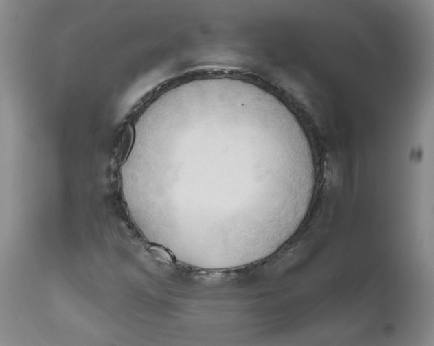 X0000111031352200907231610