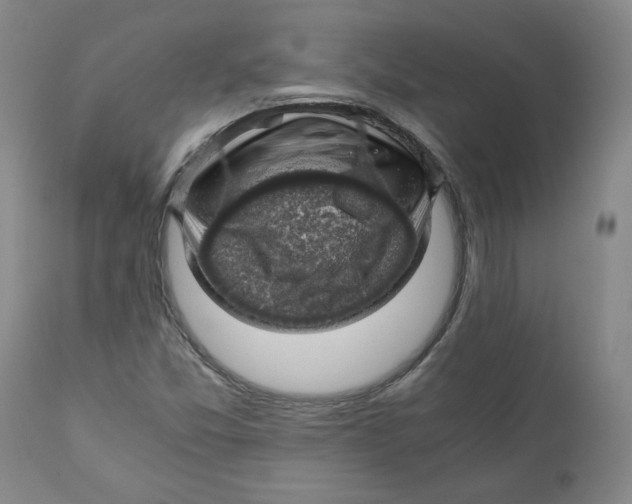 X0000111031357200907231610