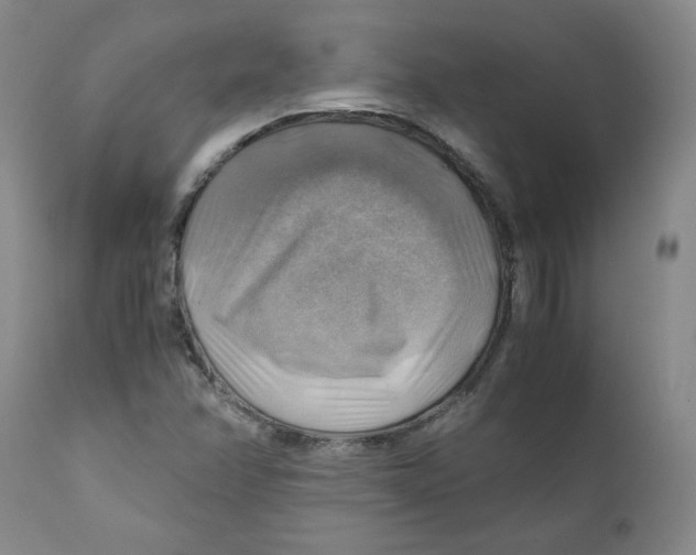 X0000111031358200907231610