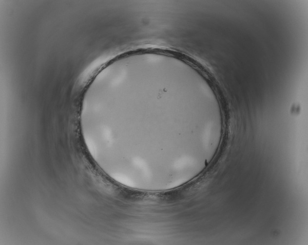 X0000111031359200907231610