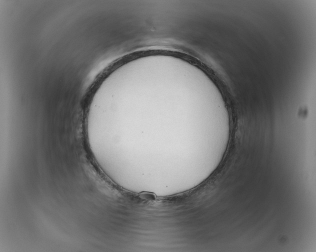 X0000111031360200907231610