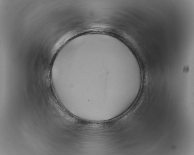 X0000111031362200907231610