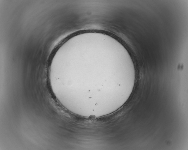 X0000111031364200907231610