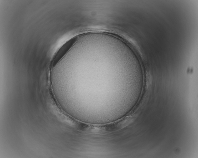 X0000111031365200907231610