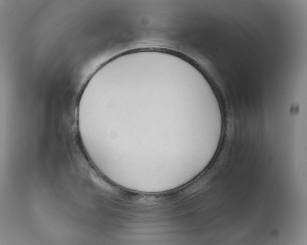 X0000111031366200907231610