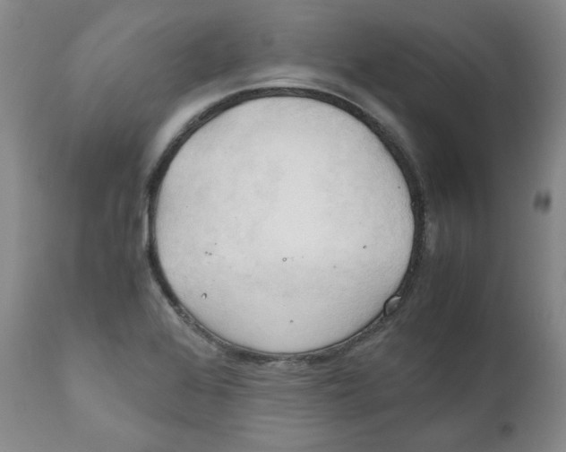 X0000111031368200907231610