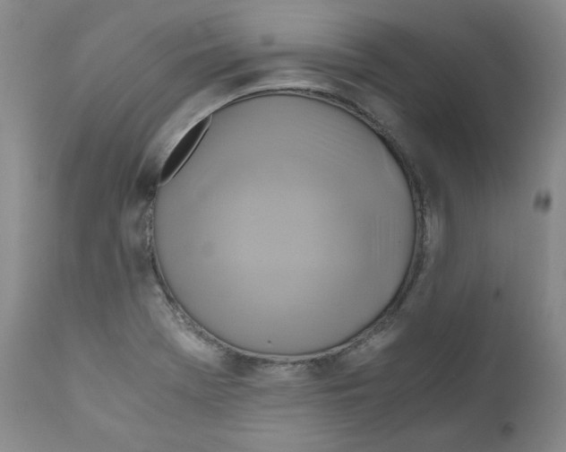 X0000111031369200907231610