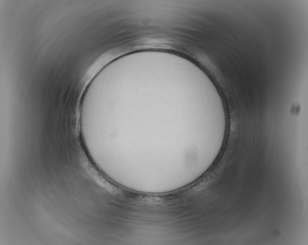 X0000111031370200907231610