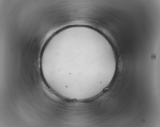 X0000111031372200907231610