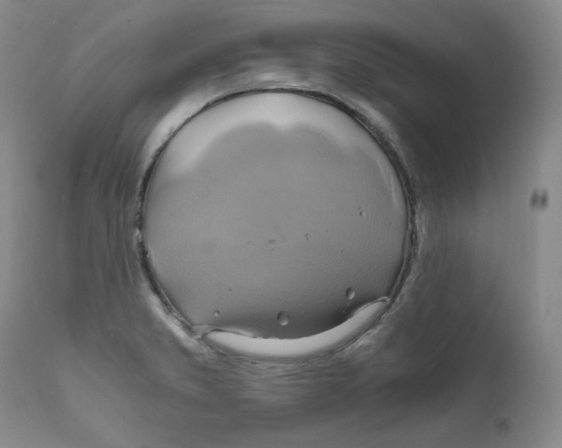 X0000111031373200907231610