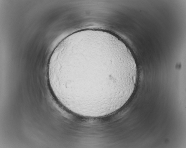 X0000111031375200907231610