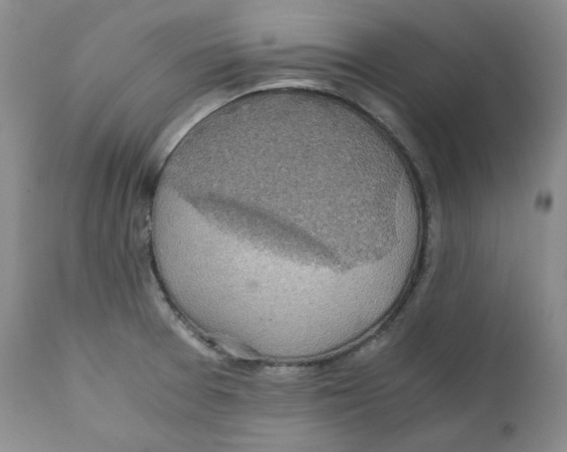 X0000111031377200907231610