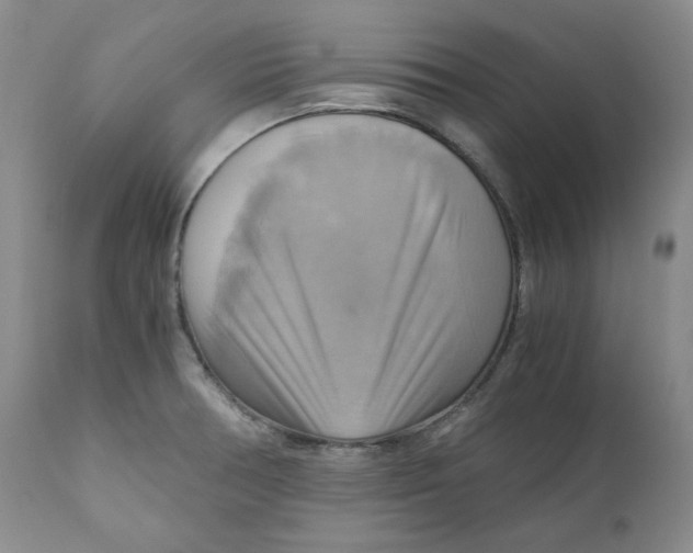 X0000111031378200907231610