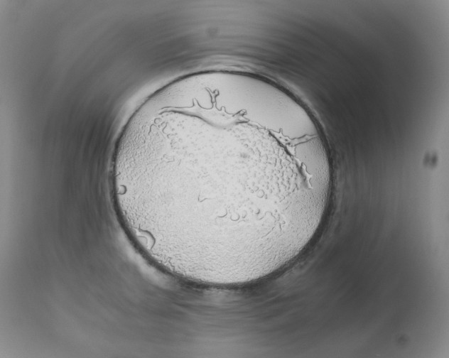 X0000111031379200907231610