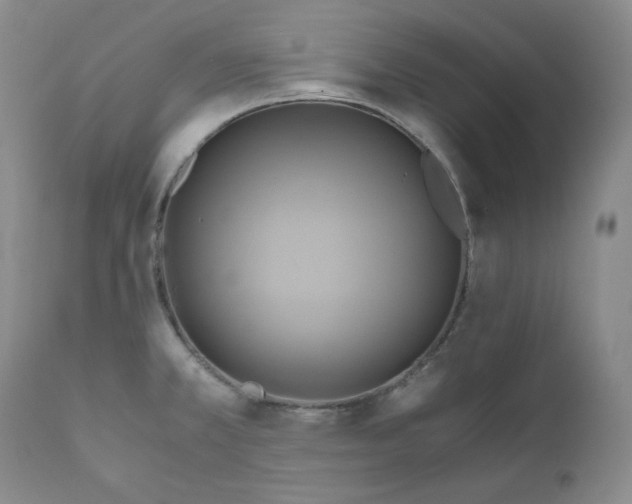 X0000111031381200907231610