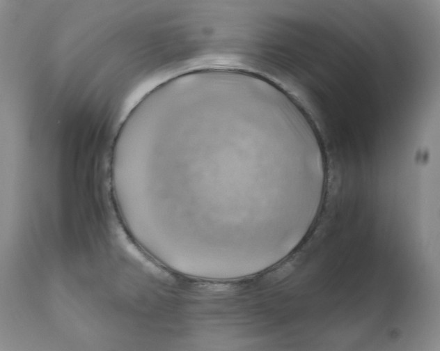 X0000111031382200907231610