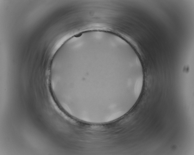 X0000111031383200907231610