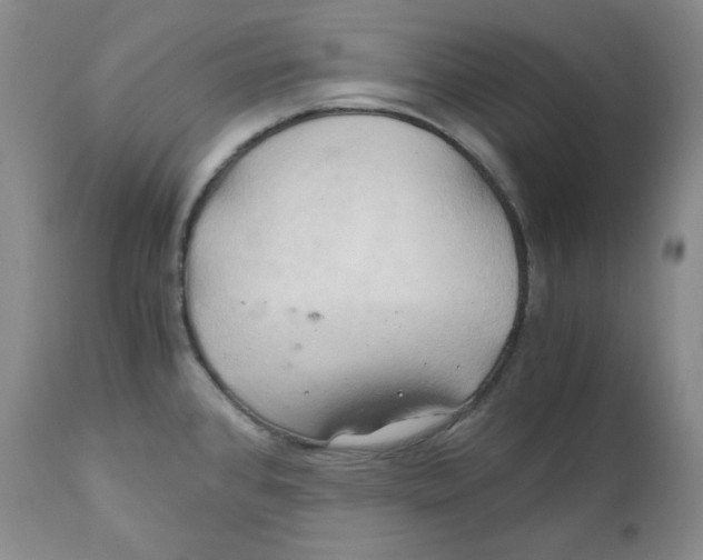 X0000111031384200907231610