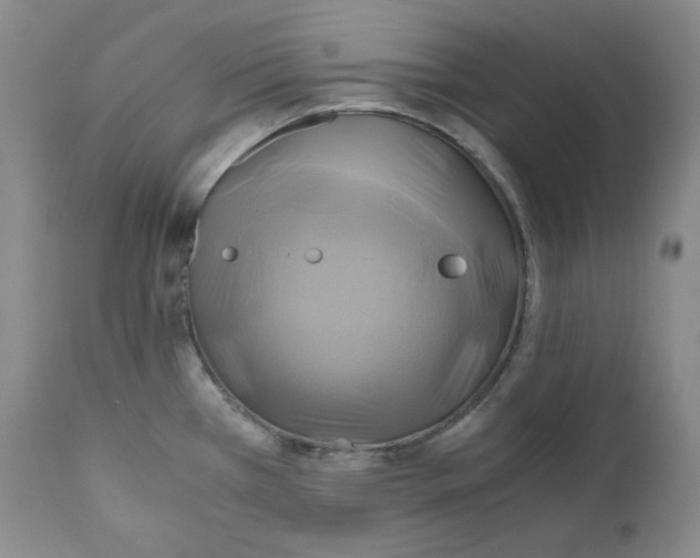 X0000111031385200907231610