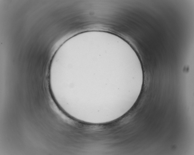 X0000111031387200907231610